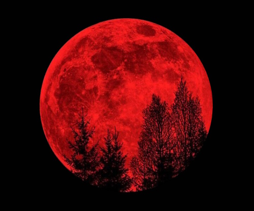wallpaper pinterest moon
